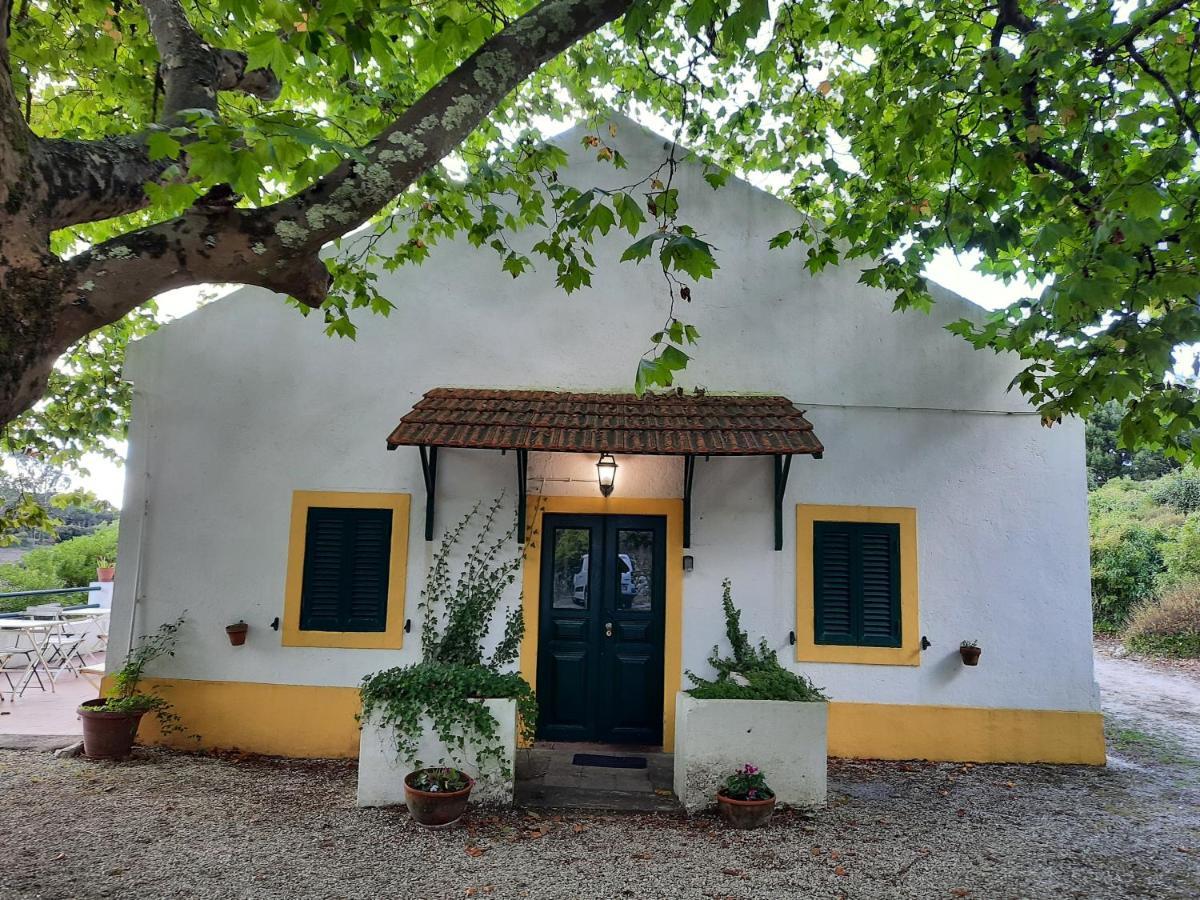 Montejunto Villas - Casa Do Platano Cadaval ภายนอก รูปภาพ